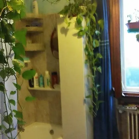 Проживание в семье Casa Rebelde