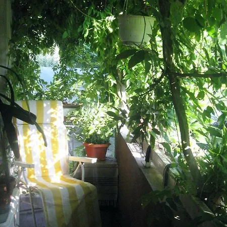 Casa Rebelde * Падуя